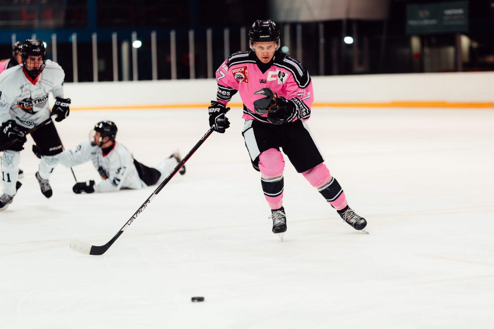 Description de l'image