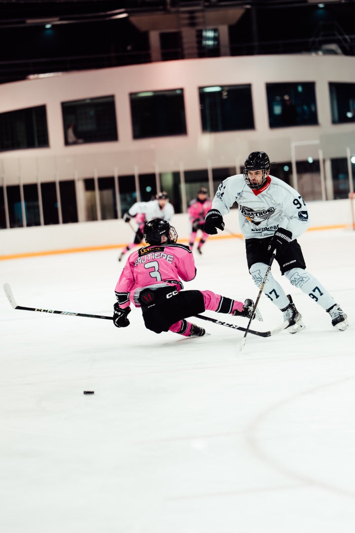 Description de l'image