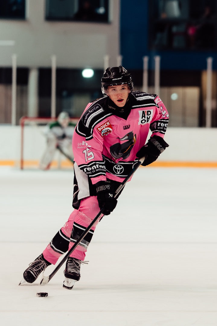 Description de l'image