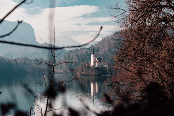 Through the Trees