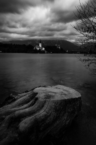 Roots of Silence