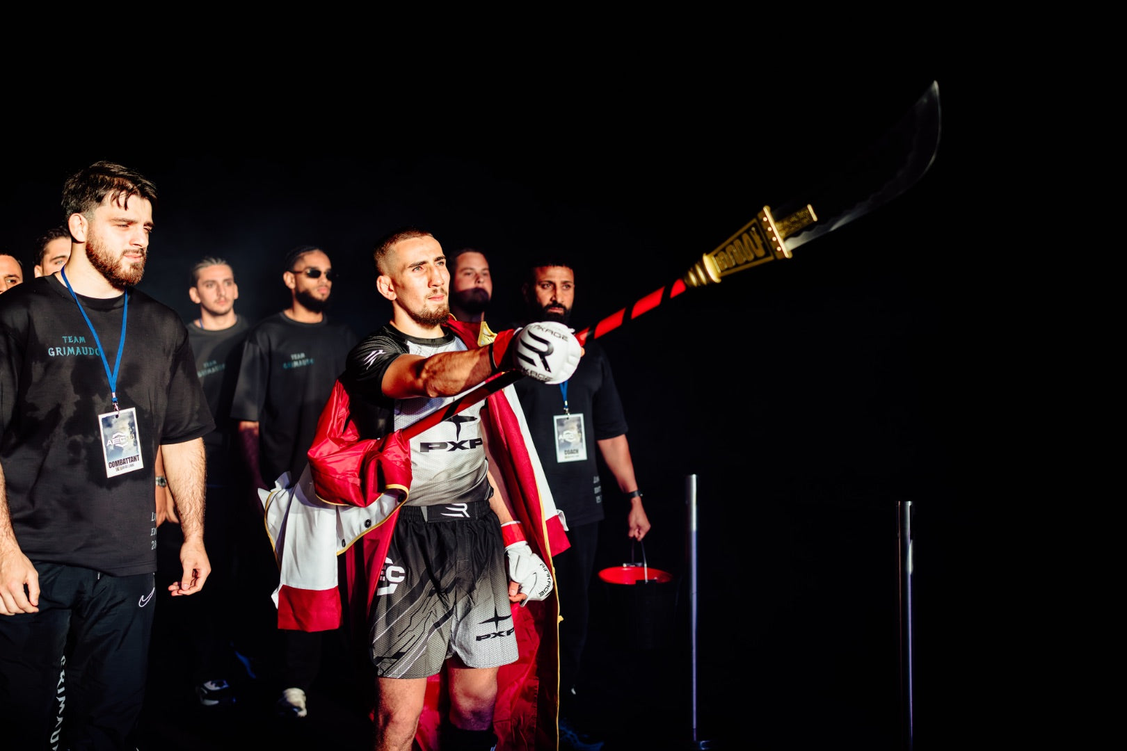 Description de l'image