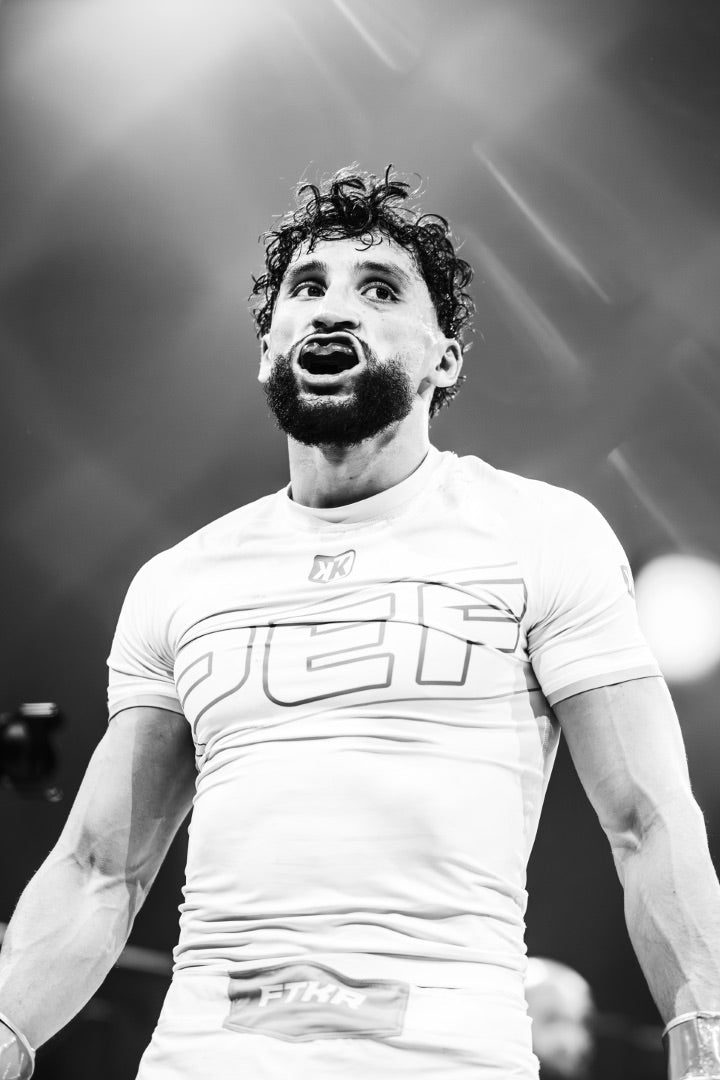 Description de l'image