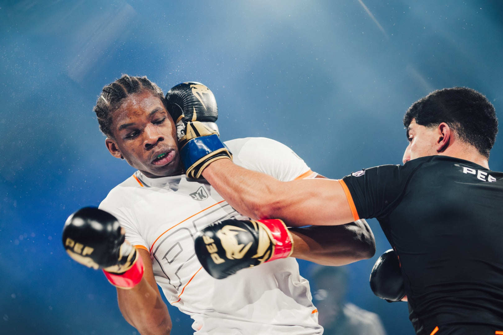 Description de l'image