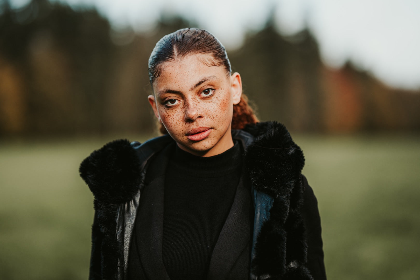 Description de l'image