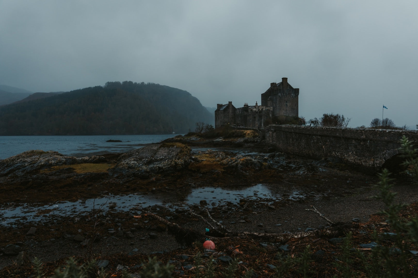 Description de l'image