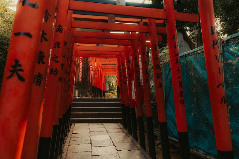 Le passage écarlate