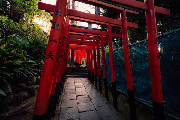 Le passage écarlate II