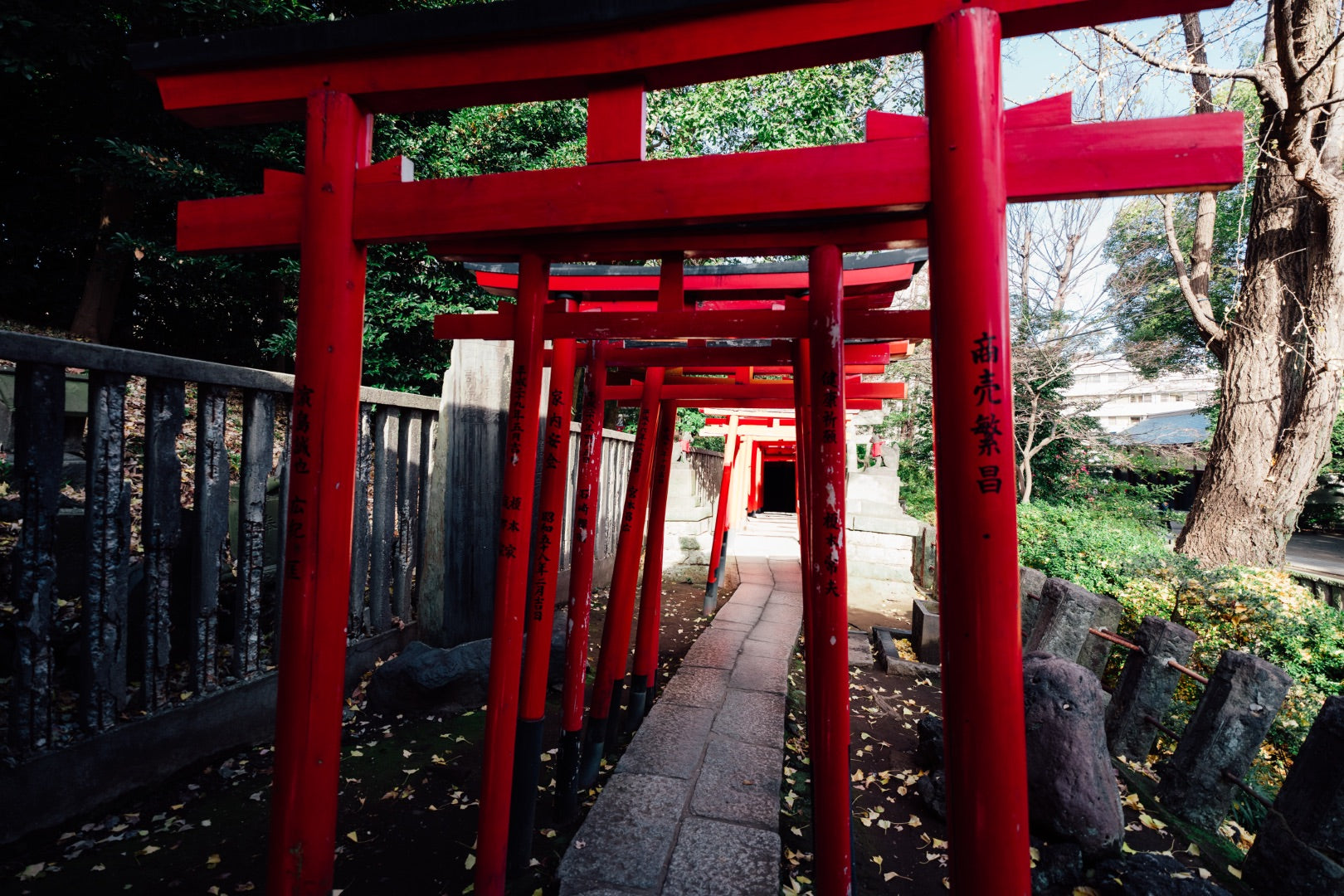 Description de l'image