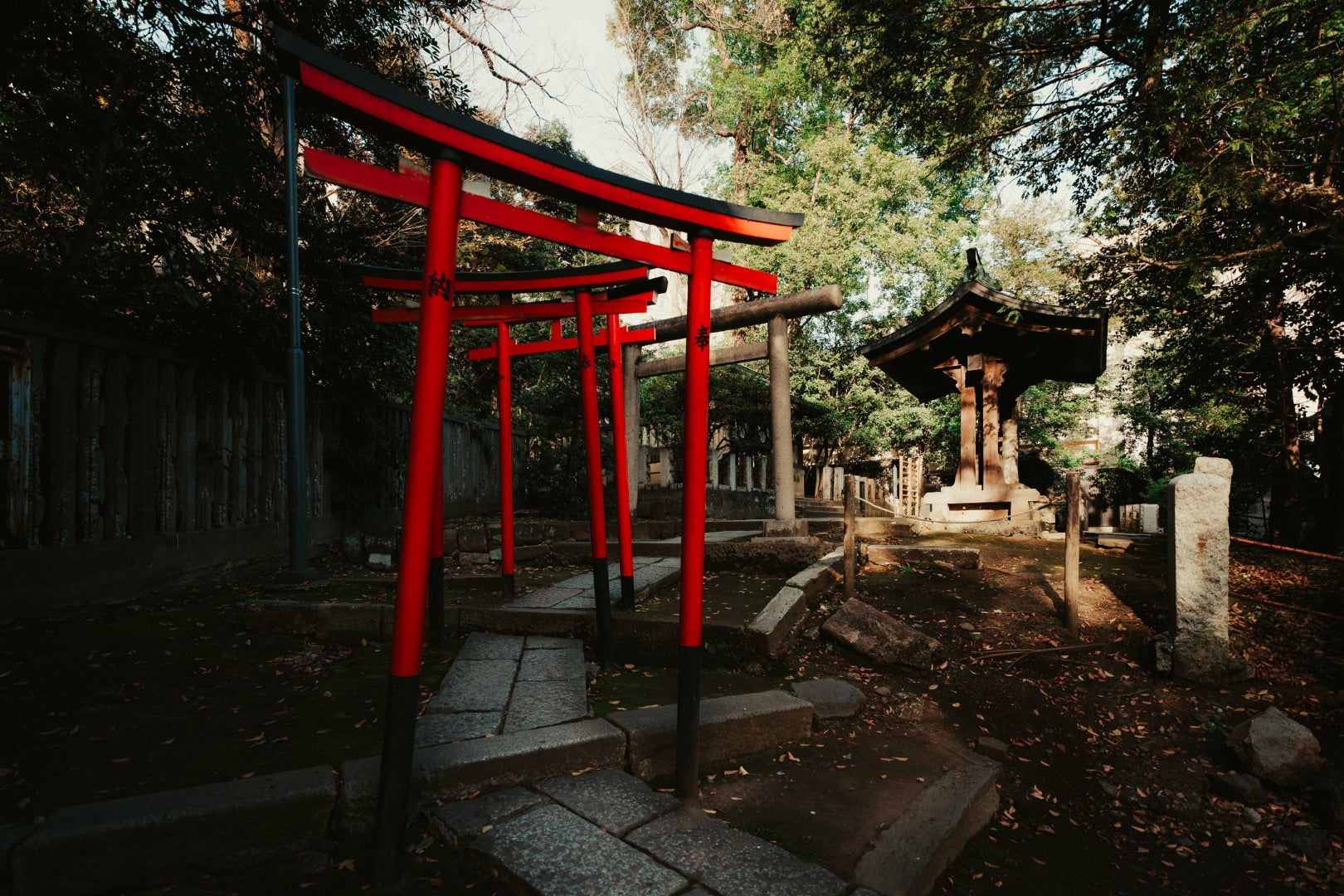 Hidden Torii path