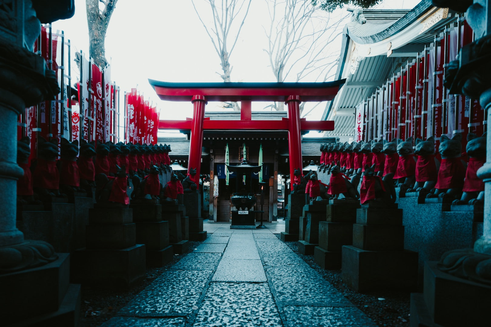 Description de l'image