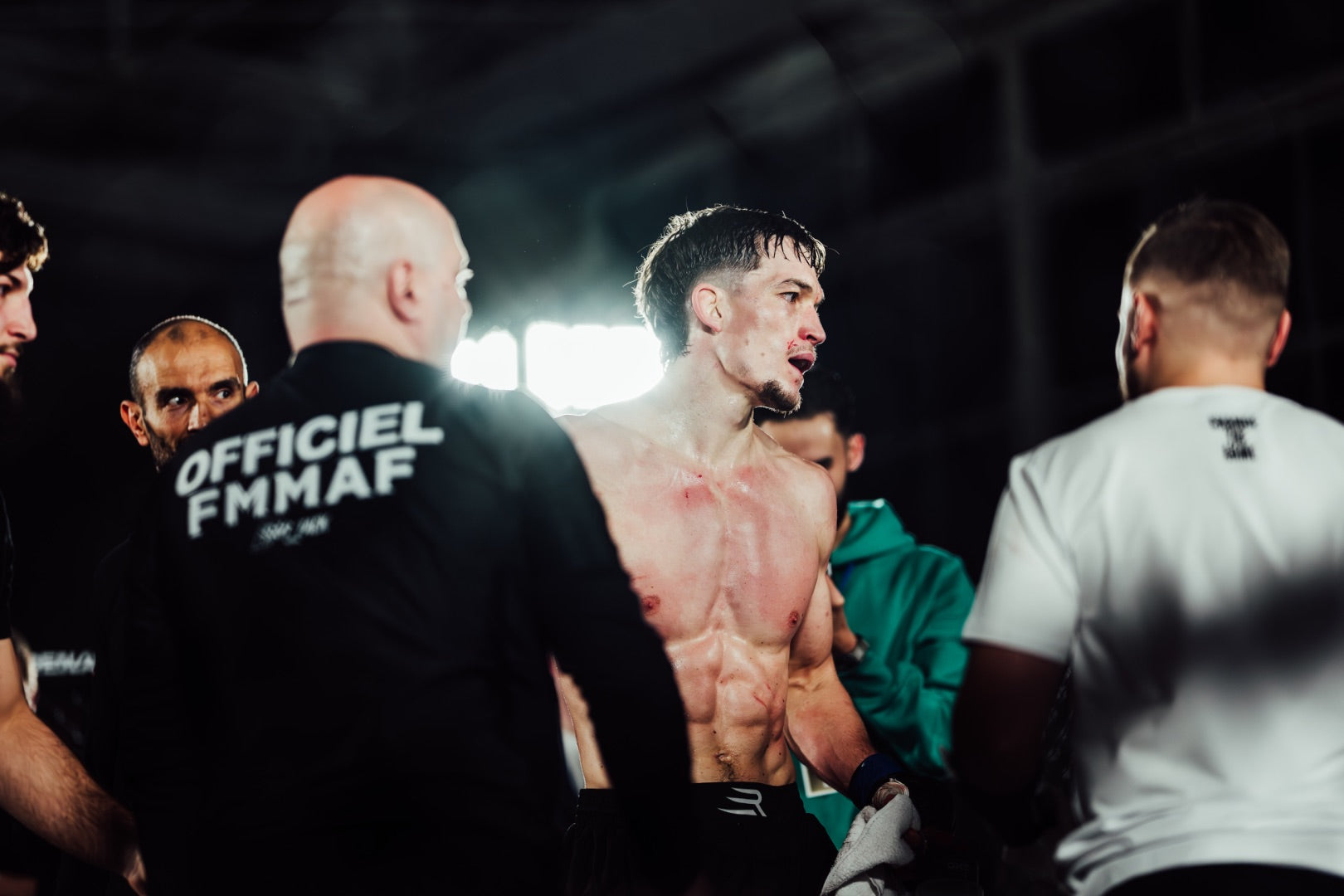 Description de l'image