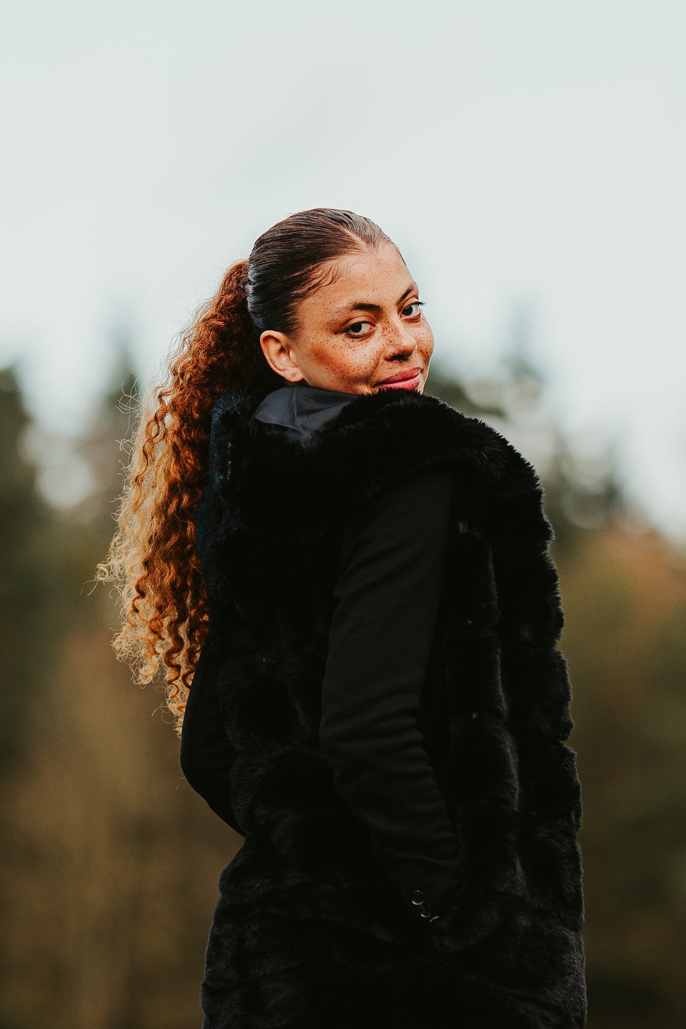 Description de l'image