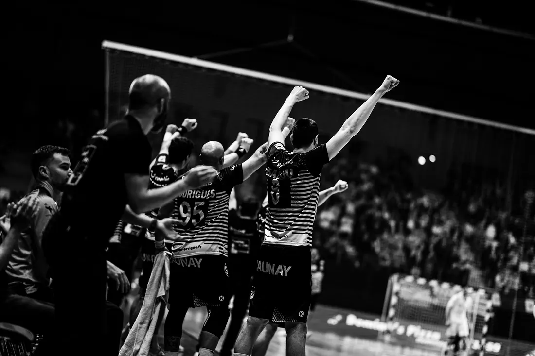 Photo de match de handball Cesson contre Toulouse (7/21)